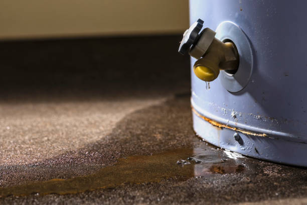 Best Emergency water damage restoration  in Susan Moore, AL