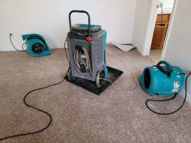 Best Flood damage cleanup  in Susan Moore, AL