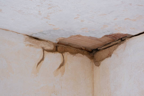 Best Carpet water damage restoration  in Susan Moore, AL