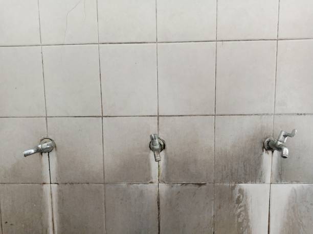 Best Flood restoration services  in Susan Moore, AL