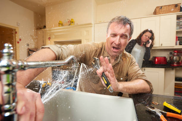 Best Water damage restoration specialists  in Susan Moore, AL